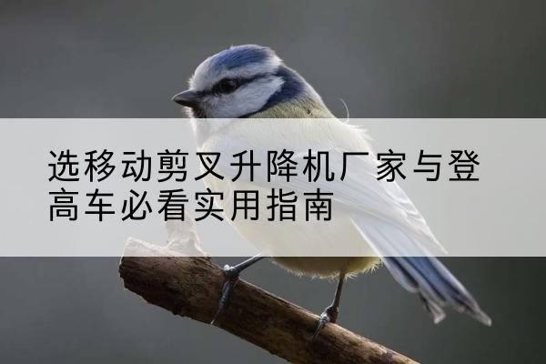 余干电动升降机厂家-选移动剪叉升降机厂家与登高车必看实用指南