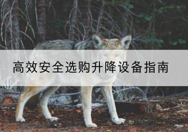 余干升降货梯厂家推荐-*安全选购升降设备指南